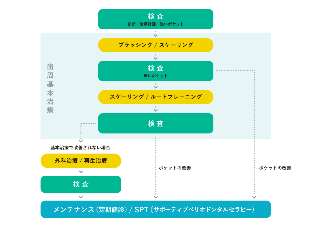 歯と歯ぐきを健康に保つプログラムご提案